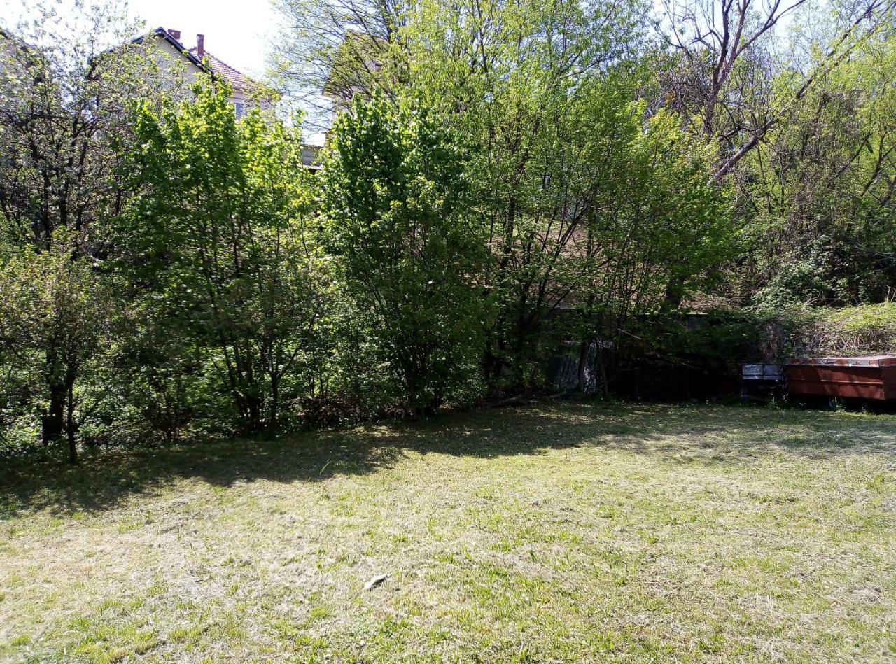Apartman Miljkovic 阿然德洛维克 外观 照片