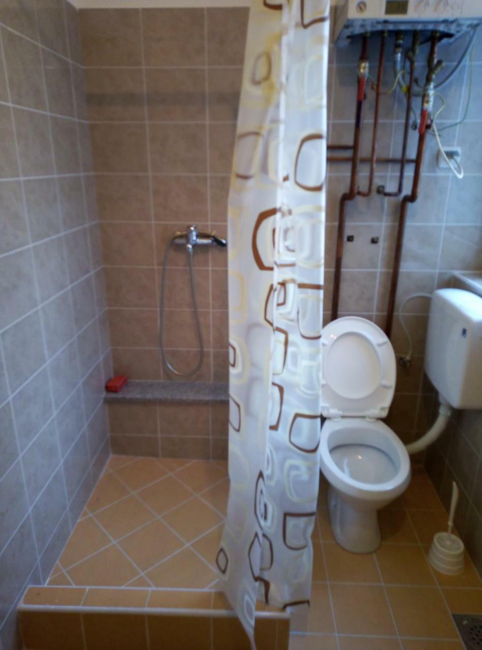 Apartman Miljkovic 阿然德洛维克 外观 照片
