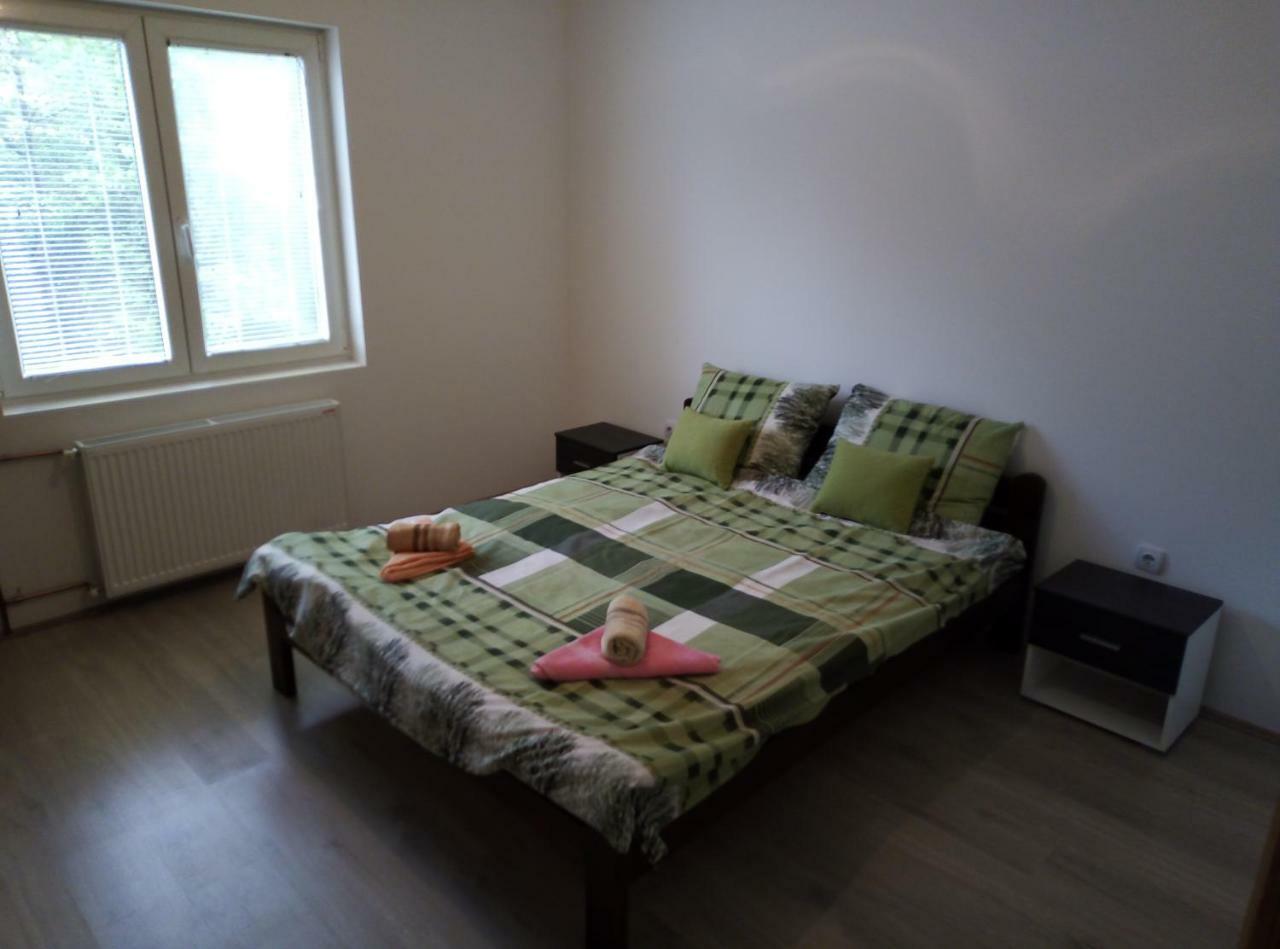Apartman Miljkovic 阿然德洛维克 外观 照片