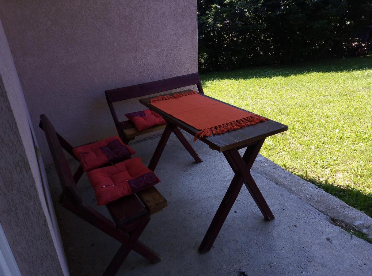 Apartman Miljkovic 阿然德洛维克 外观 照片