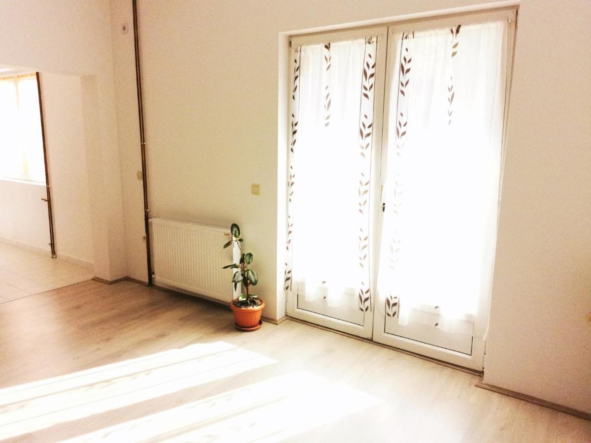 Apartman Miljkovic 阿然德洛维克 外观 照片